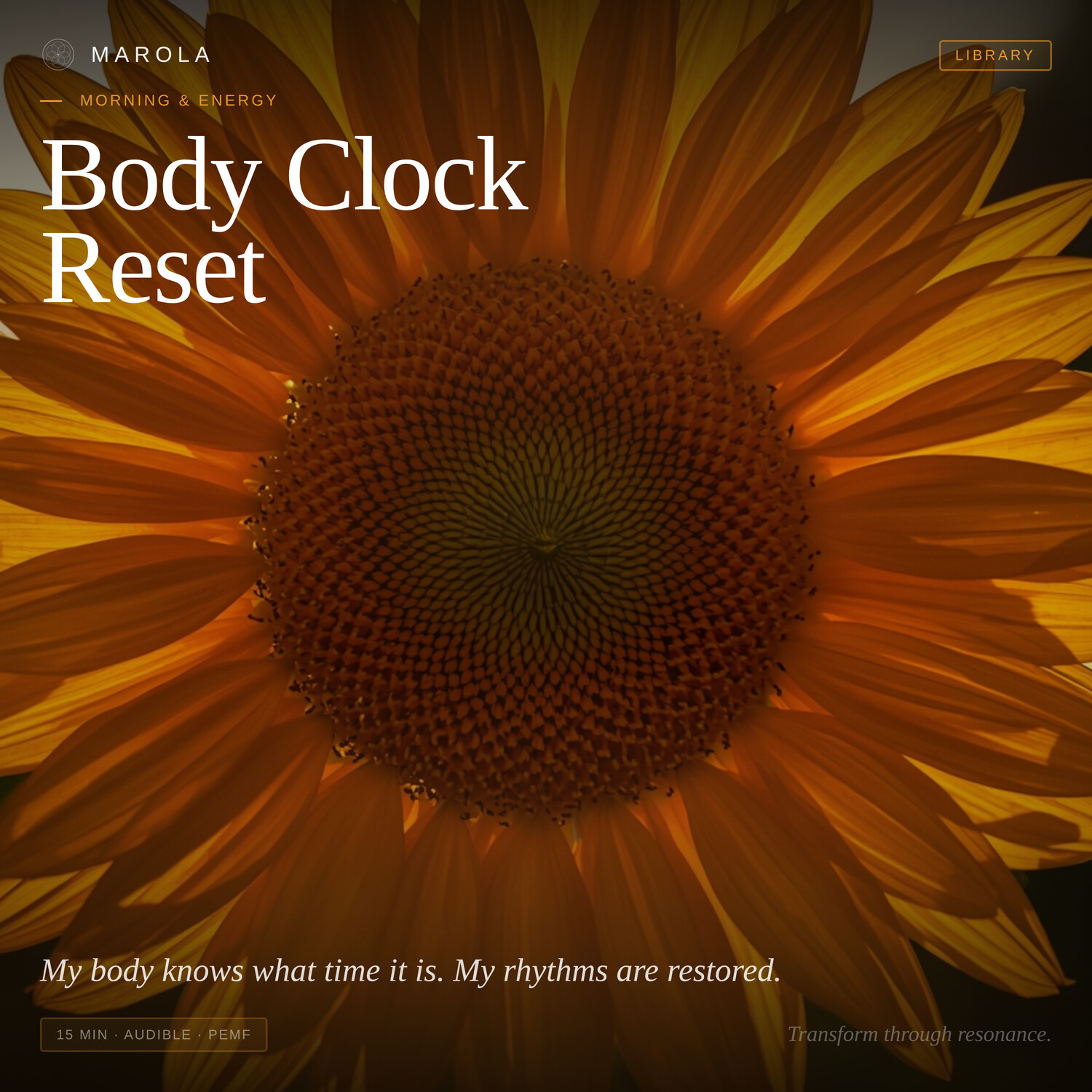 Body Clock Reset