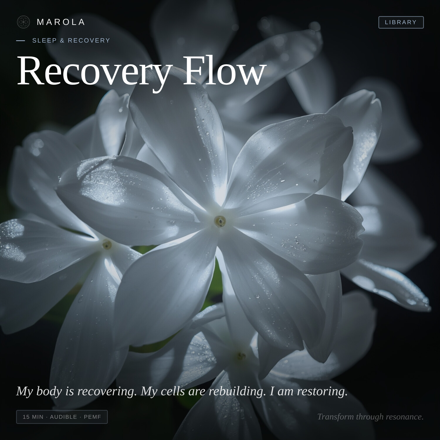 Recovery Flow