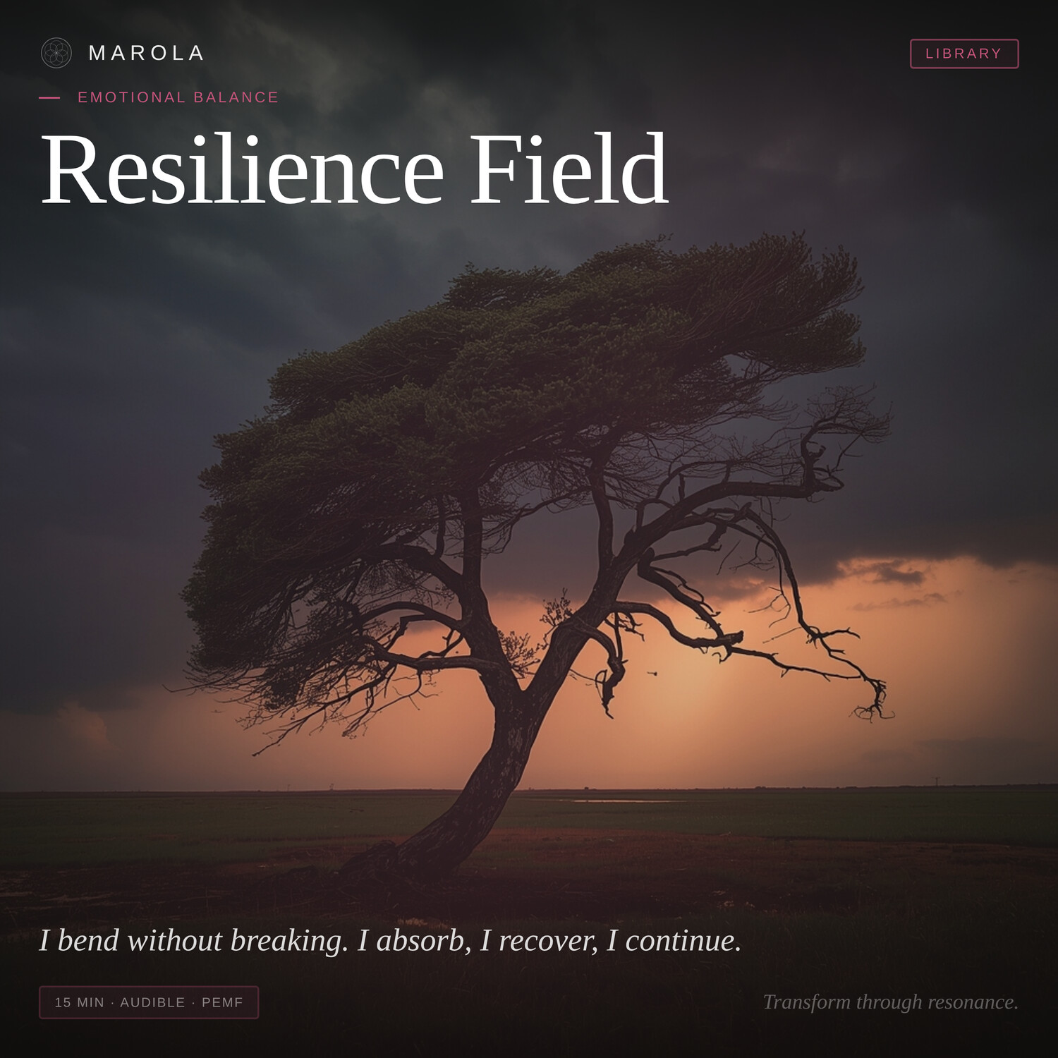 Resilience Field